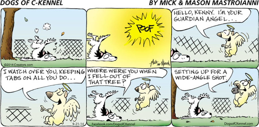 dogs of c kennel dogs of c kennel alpha comedy dogs of c kennel dogs of c kennel alpha comedy