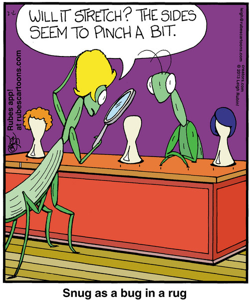 Rubes for 02/02/2013, by Leigh Rubin Creators Syndicate