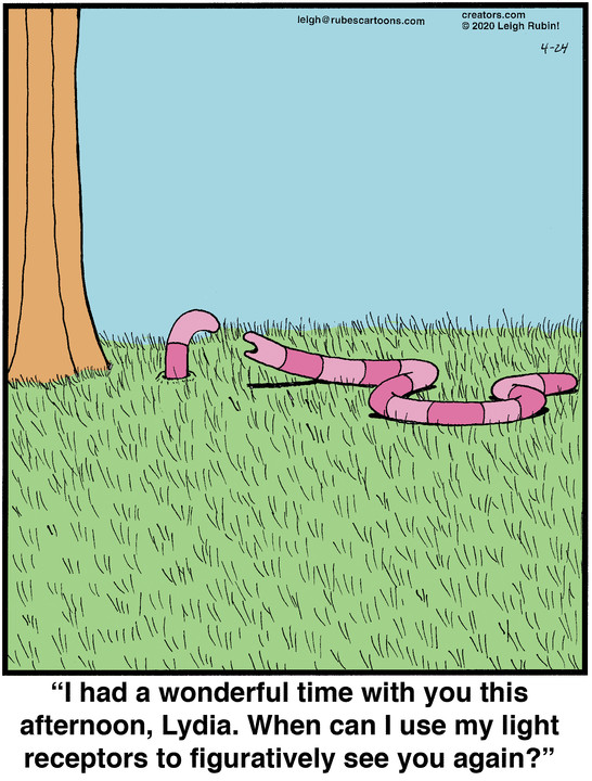 Rubes® for Apr 24, 2020, by Leigh Rubin Creators Syndicate