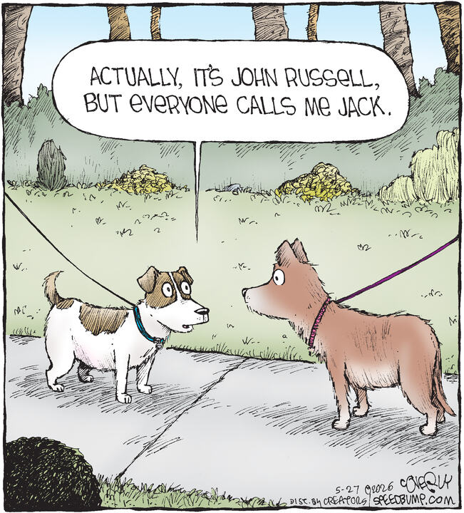 Speed Bump by Dave Coverly
 
	