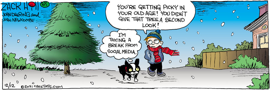 Zack Hill for Dec 12, 2021