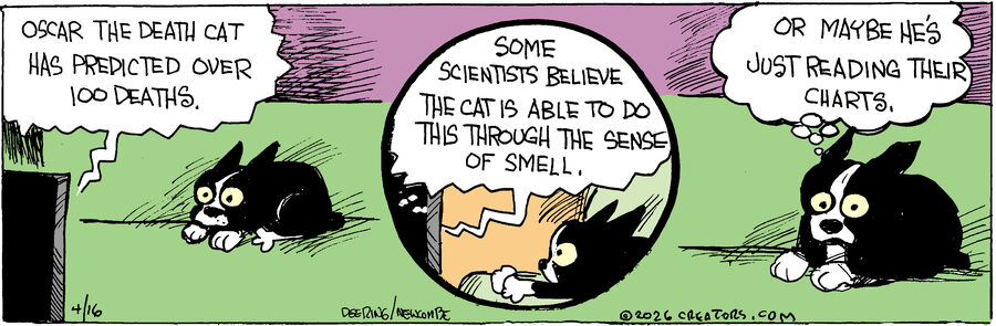 Zack Hill for Apr 16, 2026