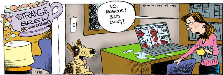 Strange Brew for Jan 25, 2026