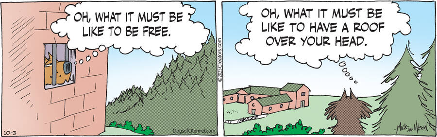Dogs of C-Kennel for Oct 03, 2025