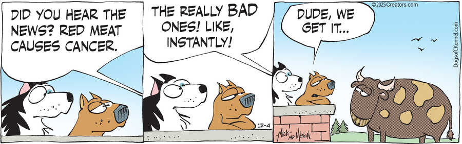 Dogs of C-Kennel for Dec 04, 2025