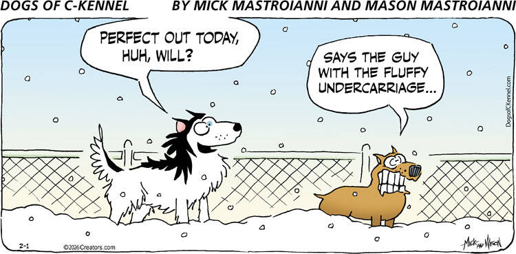 Dogs of C-Kennel for Feb 01, 2026