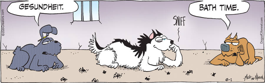 Dogs of C-Kennel for Jun 01, 2026