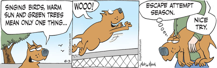 Dogs of C-Kennel for Jun 03, 2026