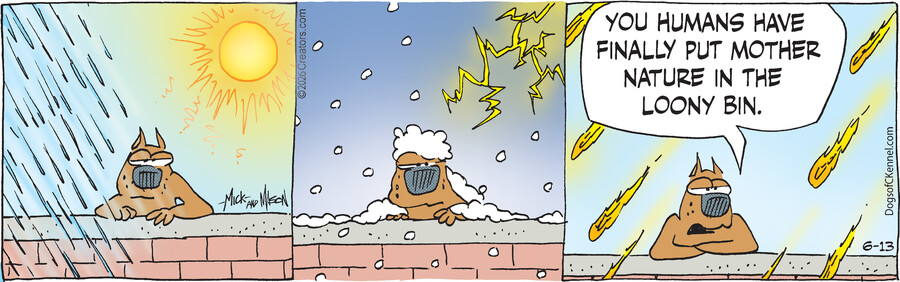 Dogs of C-Kennel for Jun 13, 2026