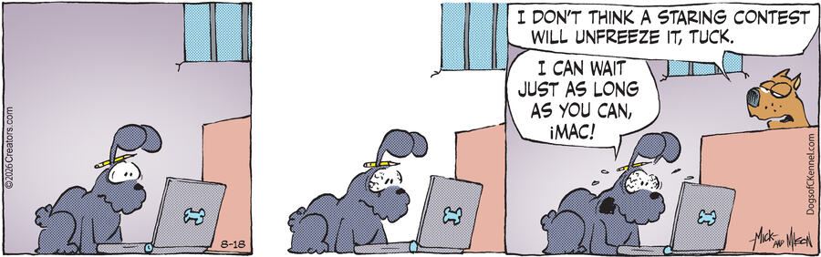 Dogs of C-Kennel for Aug 18, 2026